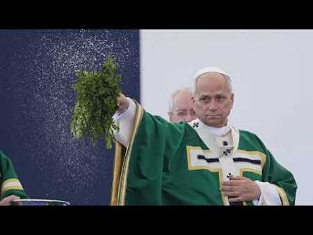Pope Leo XIV urges French Church to continue fight against sexual abuse