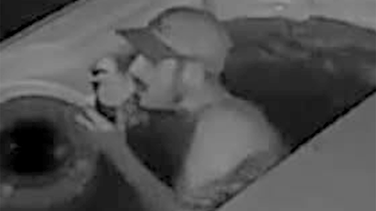 GA man wanted after being filmed ‘intensely interacting’ with rubber duck in stranger’s hot tub: ‘Infatuated’
