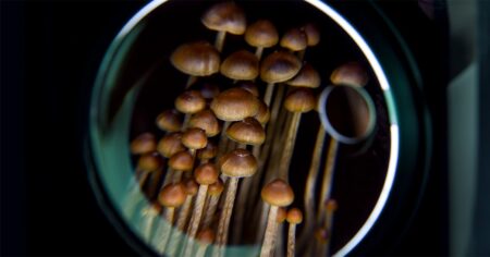 Psilocybin may bring greater long-term depression symptom relief than SSRIs