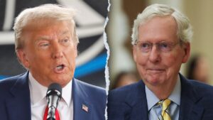 ‘Despicable human being’: McConnell’s 2020 thoughts on ‘sleazeball’ Trump revealed in new book