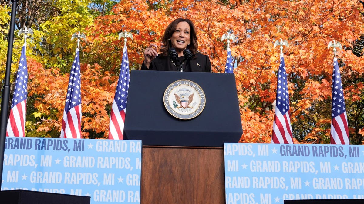 Vice President Kamala Harris speaks during a campaign event at Riverside Park in Grand Rapids, Michigan, Friday, Oct. 18, 2024.