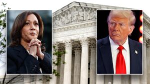 ‘Ideological balance’: Supreme Court’s conservative majority to stay no matter who wins election, experts say