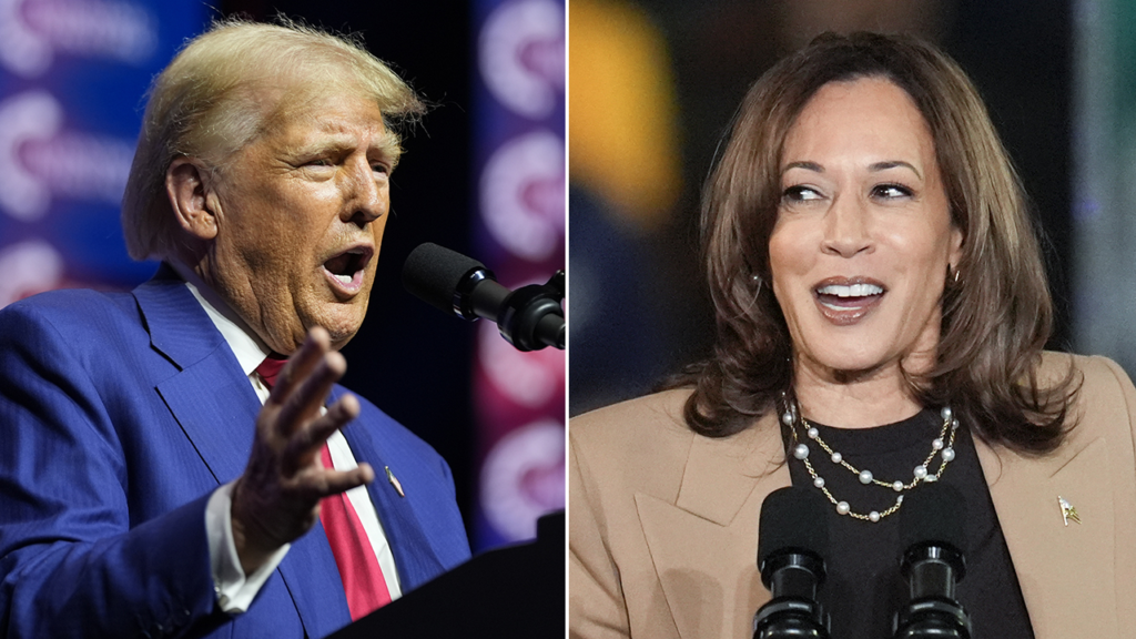 2024 showdown: Harris, Trump hold dueling Texas rallies to hammer home these key issues