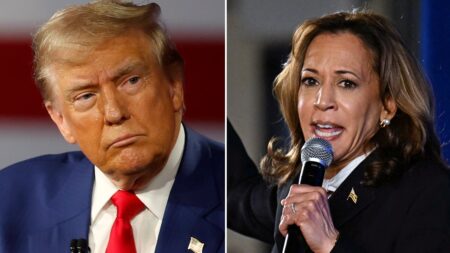 Chinese hackers attempted to breach Trump and Harris campaigns’ cellphone data