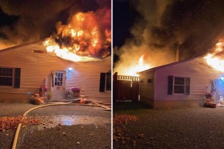 Massive fire rips through NY animal shelter – killing all of its 44 dogs