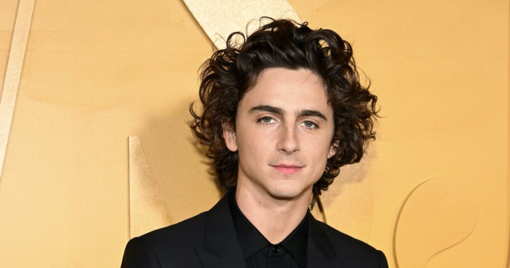 The Real Timothee Chalamet Crashed His Own Look-alike Contest in NYC