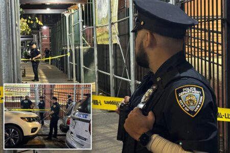 Innocent girl, 15, shot and wounded after gunfire erupts in Bronx: police