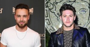 Liam Payne’s Friendship With One Direction Band Member Niall Horan Was Long-Lasting