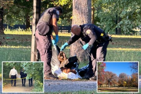 Migrant man found hanged from tree in NYC park had sex with underage relative that family just uncovered: sources