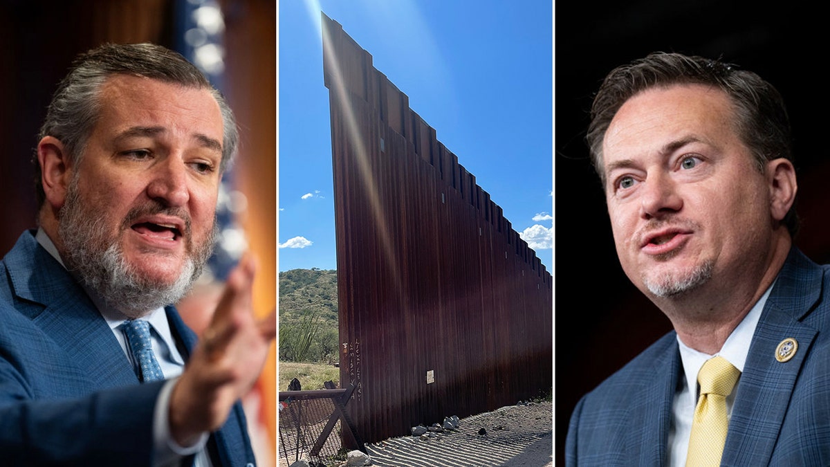 Cruz Cloud border