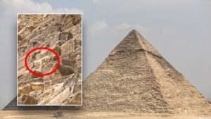 WATCH: Daring dog spotted on top of Egypt’s Great Pyramid makes expert descent as onlookers gaze in amazement