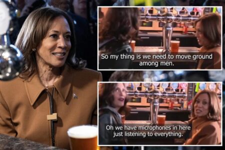 Kamala Harris caught on hot mic with Gretchen Whitmer admitting her campaign needs help appealing to male voters: ‘Just told all the family secrets. S–t’