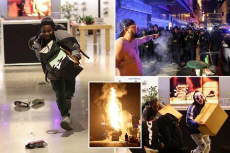 LA erupts into chaos following Dodgers’ World Series victory with looters raiding Nike store, ‘hostile’ mob burning down bus