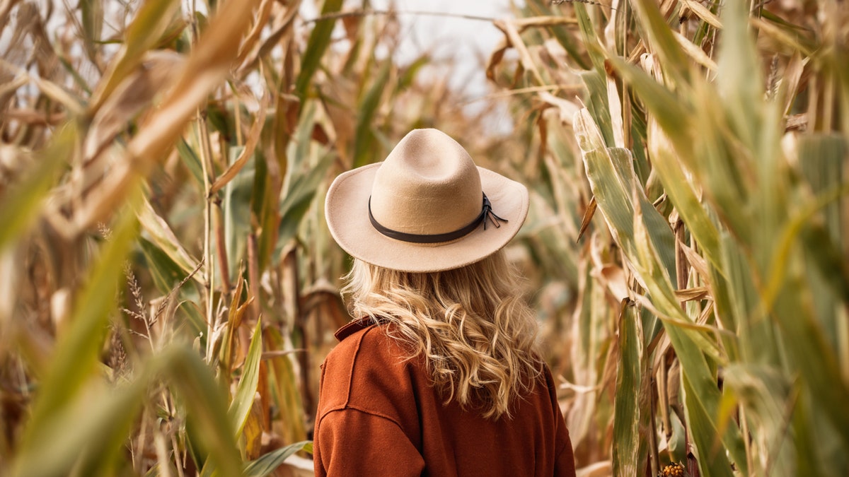 A woman walking through a corn maze