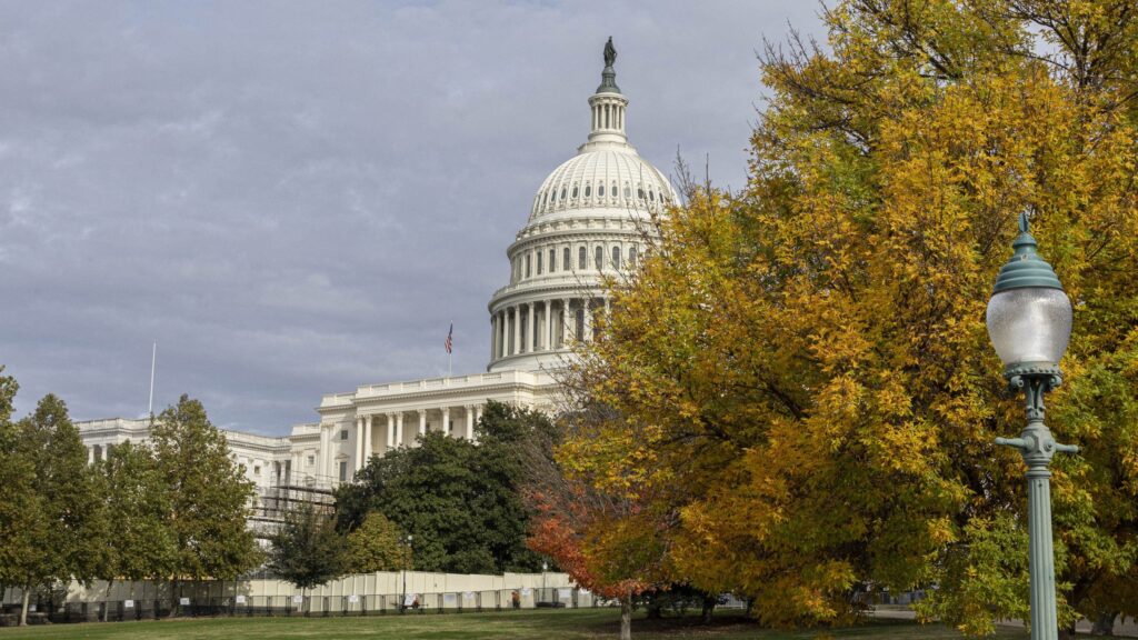 Police arrest man at US Capitol smelling of fuel who had manifesto, flare gun and blow torch