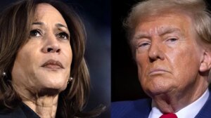 Harris concedes presidential race, sends message to campaign staff: ‘Losing is unfathomably painful’