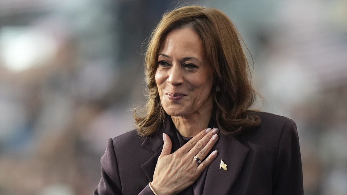 Vice President Kamala Harris gestures as she delivers a concession speech for the 2024 presidential election, Wednesday, Nov. 6, 2024, on the campus of Howard University in Washington. (AP Photo/Stephanie Scarbrough)