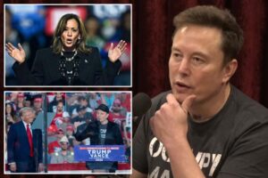 Elon Musk convinced Kamala Harris will ‘freaking shut down’ X if elected president