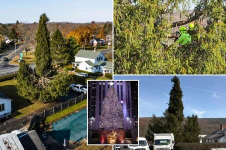 Crowds flock to tiny Massachusetts town to send off New York’s Rockefeller Christmas tree