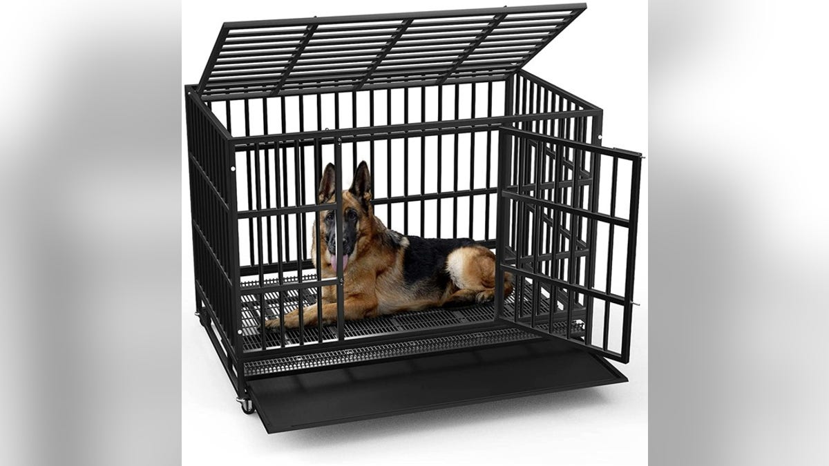 A durable steel crate for anxious dogs. 