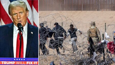 ‘TRUE!!’: Trump confirms support for major step in mass deportation push to ‘reverse the Biden invasion’