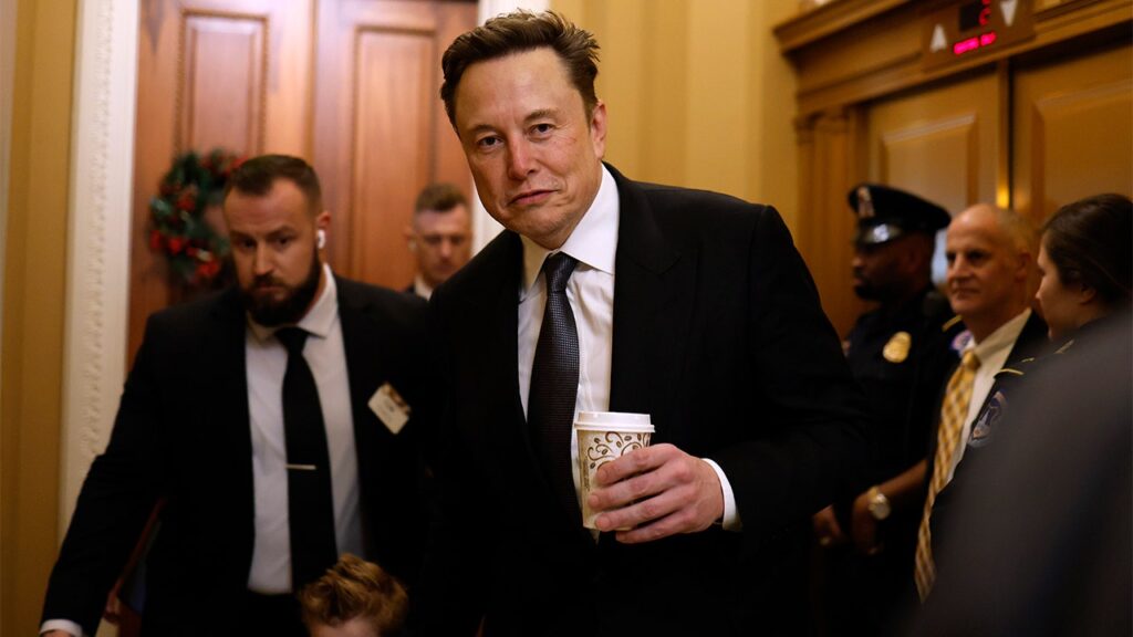 Musk rips ‘fraudulent’ Treasury handouts as reports mount DOGE has access to federal payment system