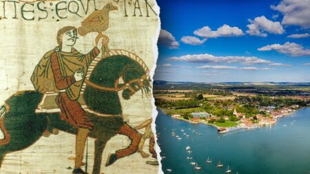 ‘Lost site’ depicted in iconic Bayeux Tapestry found thanks to revelation of ancient loo