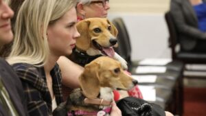 House Rep. Eli Crane says therapy dogs should be mandatory at hearings after joke about Dems’ mental stability