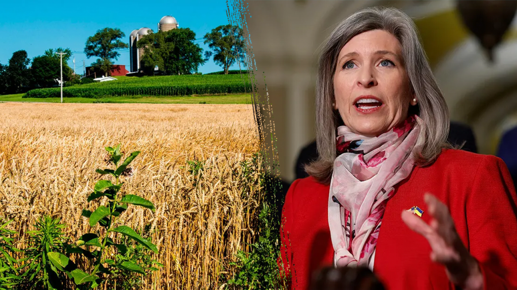 Heartland lawmakers seek to fix ‘fundamental’ roadblock for farm kids seeking student aid