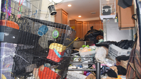 Hoarder arrested for extreme animal cruelty, as authorities discover 10 dead pets, rescue many more: police