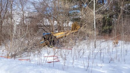 Pilot walks away unscathed after small plane crashes near Hampton Airfield in New Hampshire