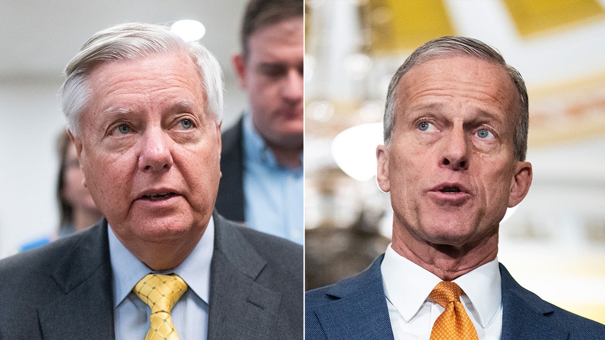 Lindsey Graham, John Thune