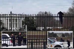 Secret Service swarm black-clad man who tried climbing over White House fence after saying: ‘F–k it’