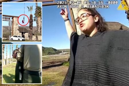 Female activist arrested for tearing down US flag, replacing with Mexico’s at California park: ‘This is Mexican land, motherf—ker’