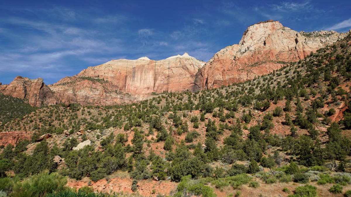 The morning sun lights up large rock formations in Zion National Park