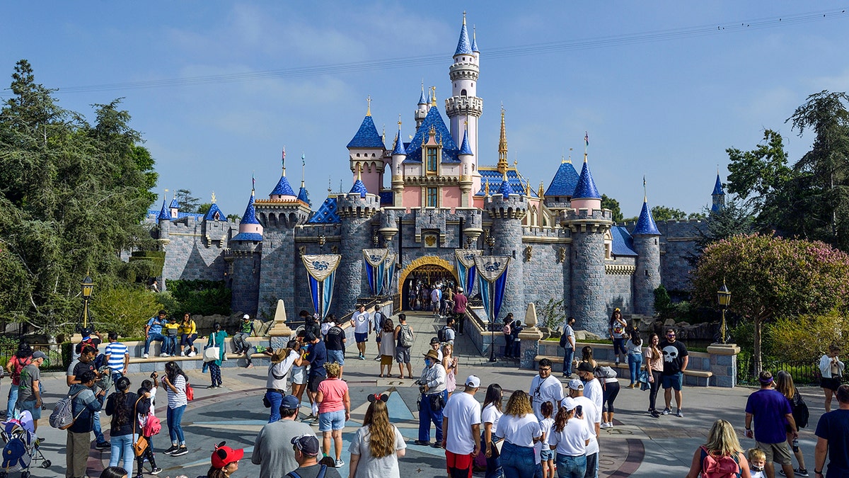 A photo of the Disneyland castle