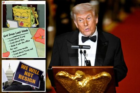 Trump posts SpongeBob meme to poke fun at outrage over Elon Musk’s email asking federal workers what they did last week