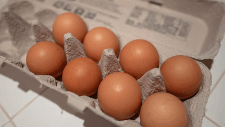 Egg heist: Pennsylvania police investigating after 100,000 eggs stolen