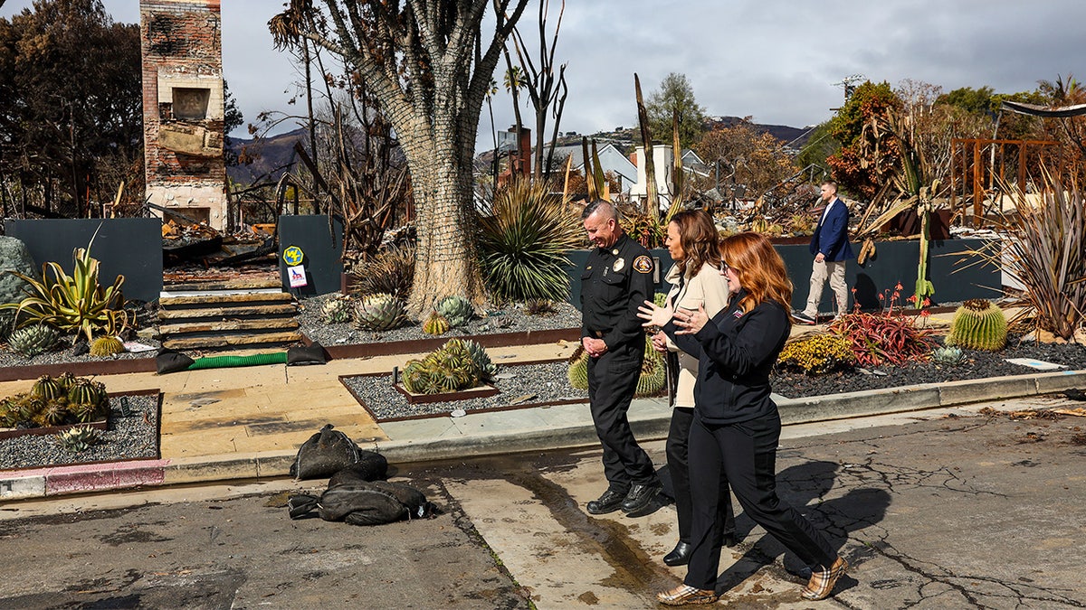 Former Vice President Harris surveys damage from Palisades Fire