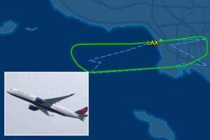 Delta flight diverted back to LAX after smoke detected on board