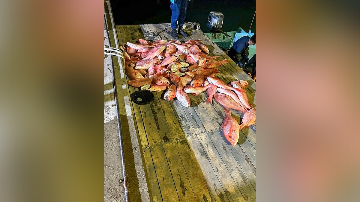 The Coast Guard interdicted three lanchas, detained 11 Mexican fishermen, and seized nearly 1,600 pounds of illegally caught red snapper and nine sharks in federal waters off southern Texas.