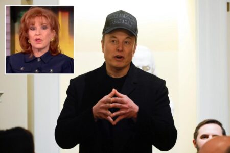 Joy Behar rips Elon Musk as ‘pro-apartheid enemy of the state’ – quickly walks back comments: ‘Don’t be  suing me’