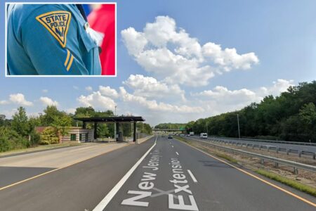 NJ driver awarded nearly M after troopers mistook her stroke for intoxication