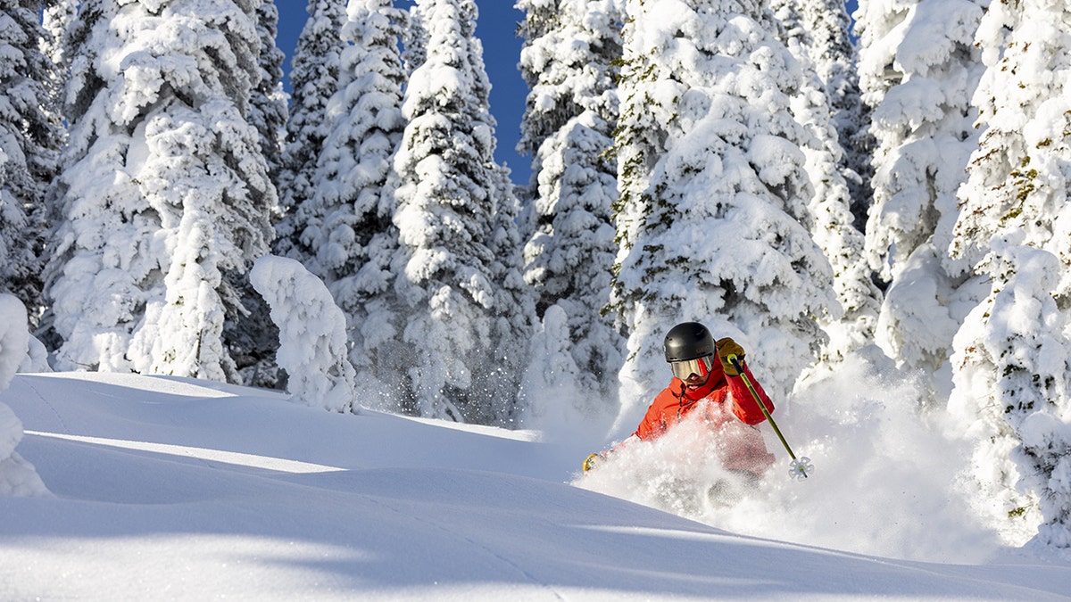 Whitefish Mountain Resort in Montana