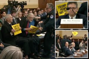 Clueless lefty protestors interrupt USAID hearing, get savaged for being wrong