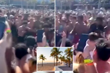 Florida spring breakers hold illegal beach boxing match — complete with cryptocurrency betting: wild video