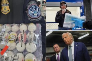 Crackdown: US border agents seizing more eggs than fentanyl