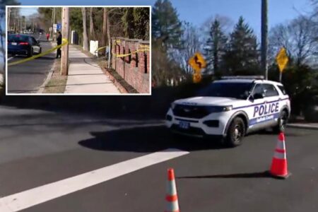 75-year-old retired Long Island detective shot dead by his son: cops