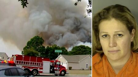 Myrtle Beach woman ignited South Carolina wildfire that scorched 2K acres, authorities say