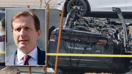 Democrat decries FBI task force to crackdown on Tesla attacks: ‘Political weaponization of the DOJ’